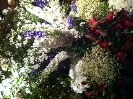 photo(25)