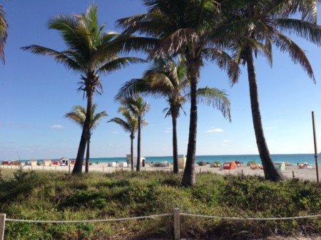 photo (2)