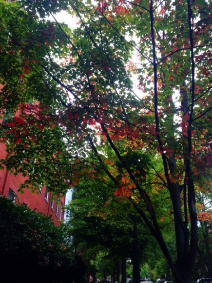 photo (33)