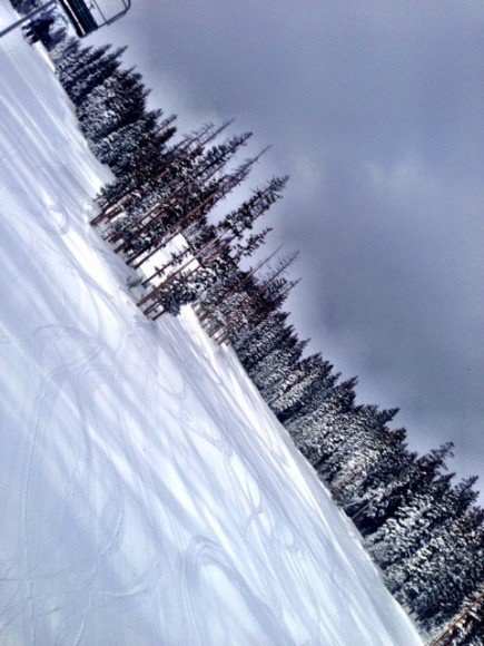photo (13)