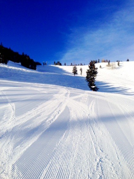 photo (5)