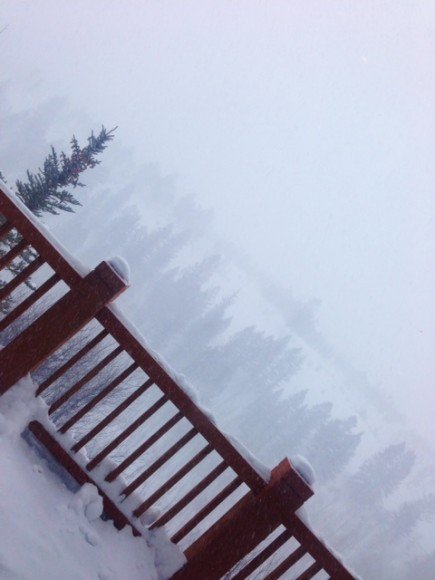photo (7)