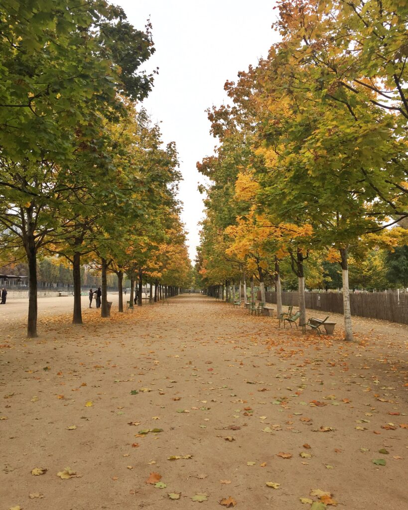 The Most Instagram Worthy Places in Paris I wit & whimsy