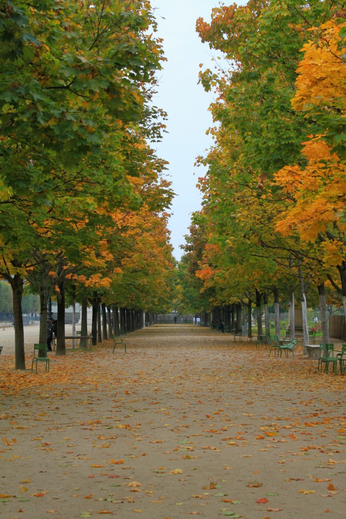Paris I Where to Stay, What to Eat and What to Do