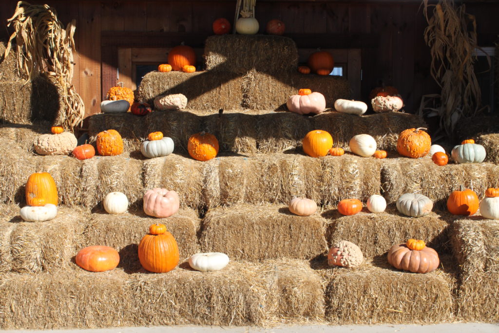 Fishkill Farms, New York