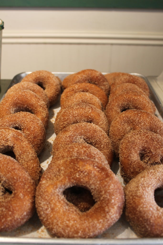 Cinnamon Sugar Doughnuts