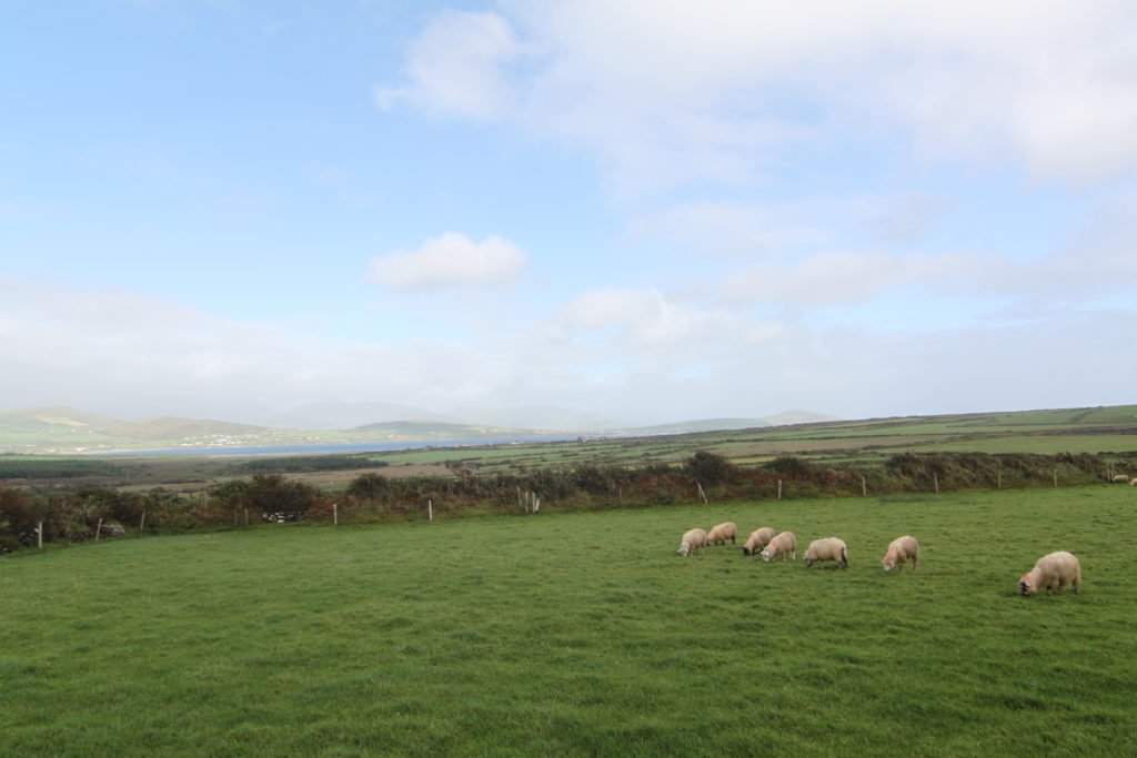 A Road Trip Through Ireland