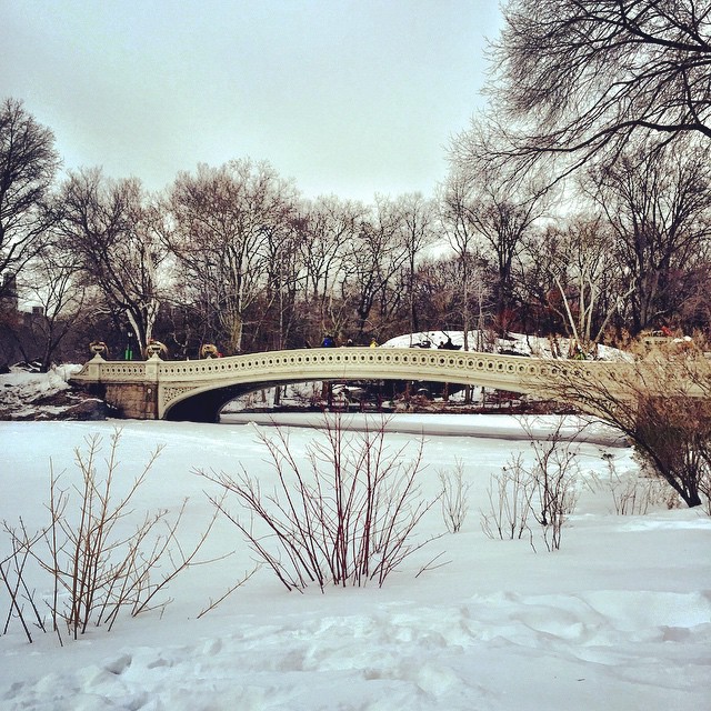 The Most Instagram Worthy Spots in New York City