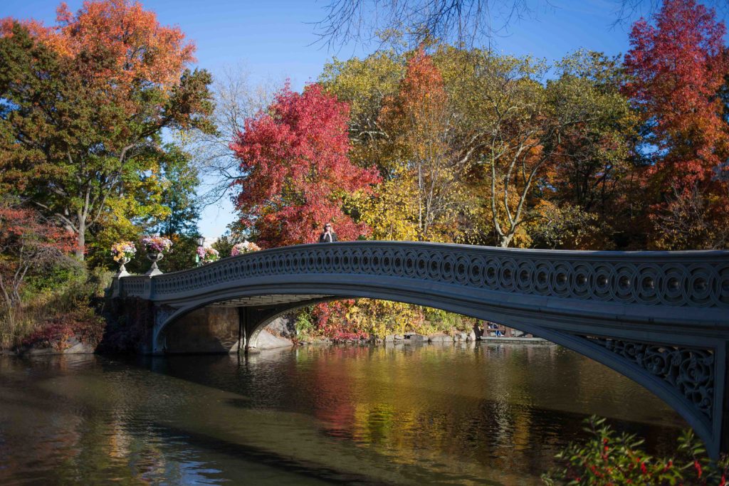 Bow Bridge Central Park