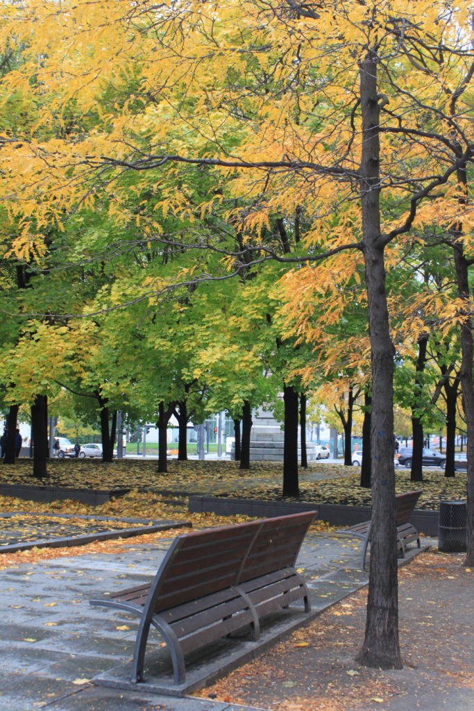 48 Hours in Montreal I wit & whimsy