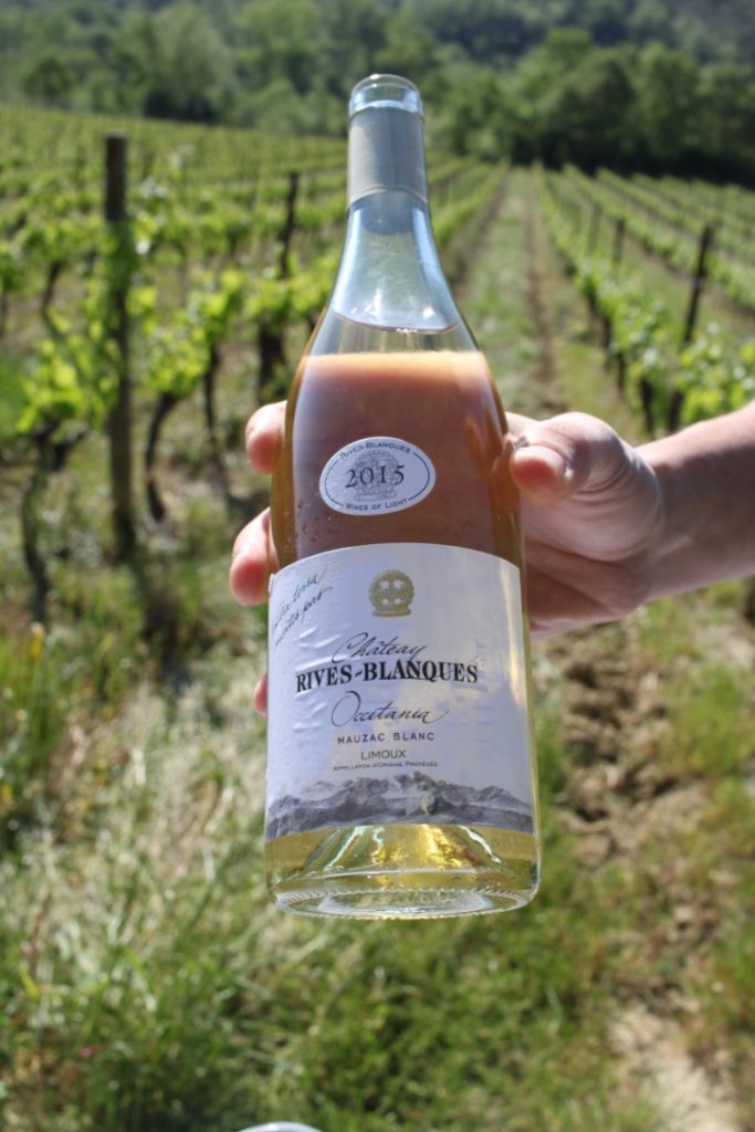 Lessons in wine I wit & whimsy