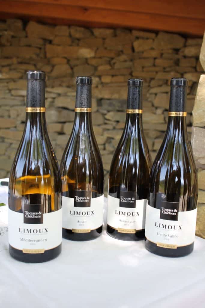 Lessons in wine I wit & whimsy
