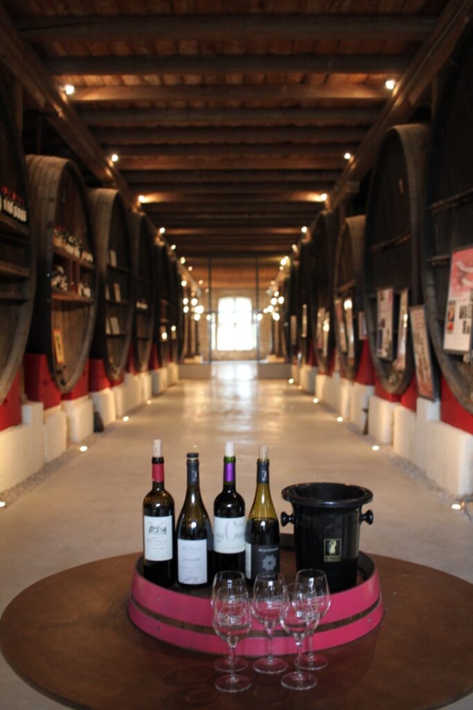 Lessons in wine I wit & whimsy