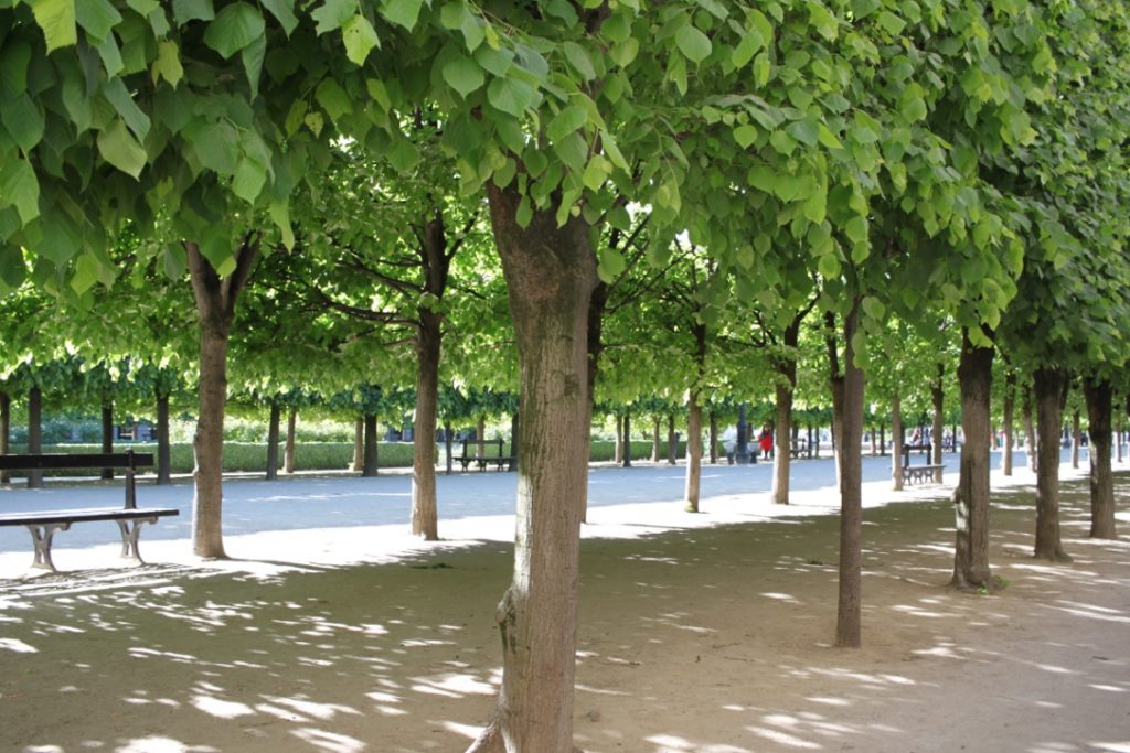 Paris Photo Diary
