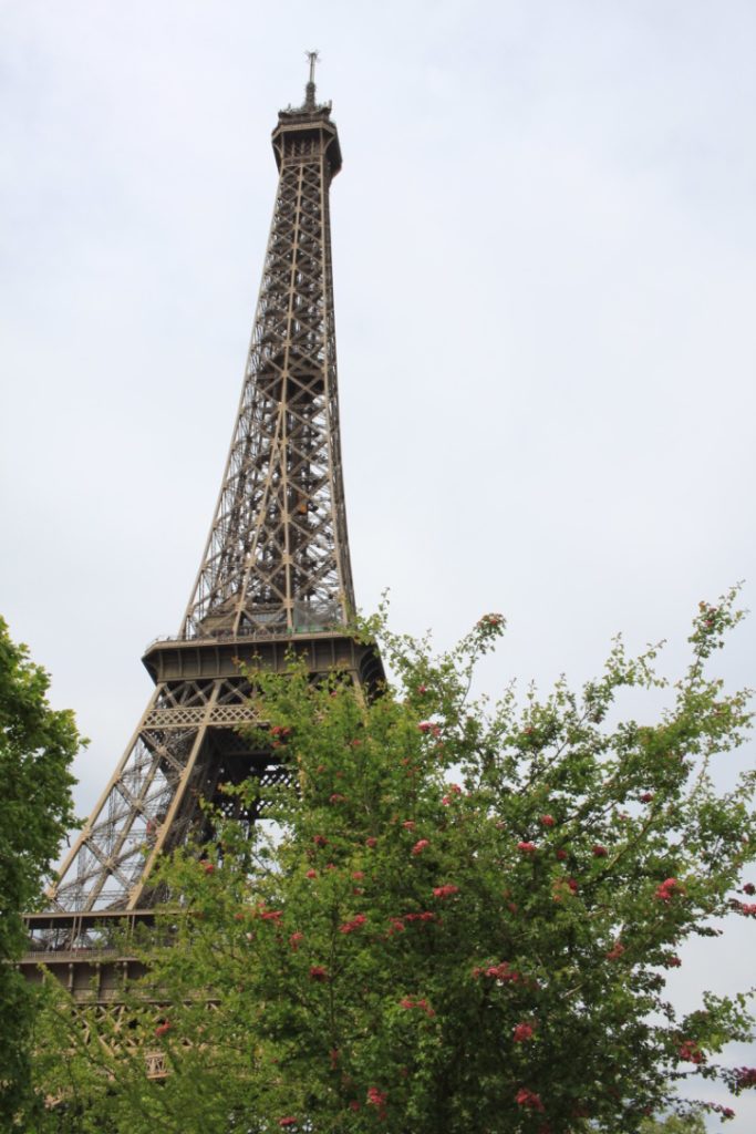 Paris Photo Diary
