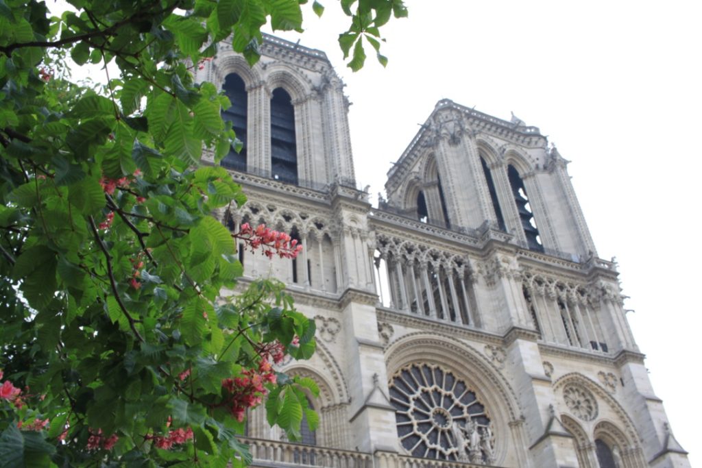 Paris Photo Diary
