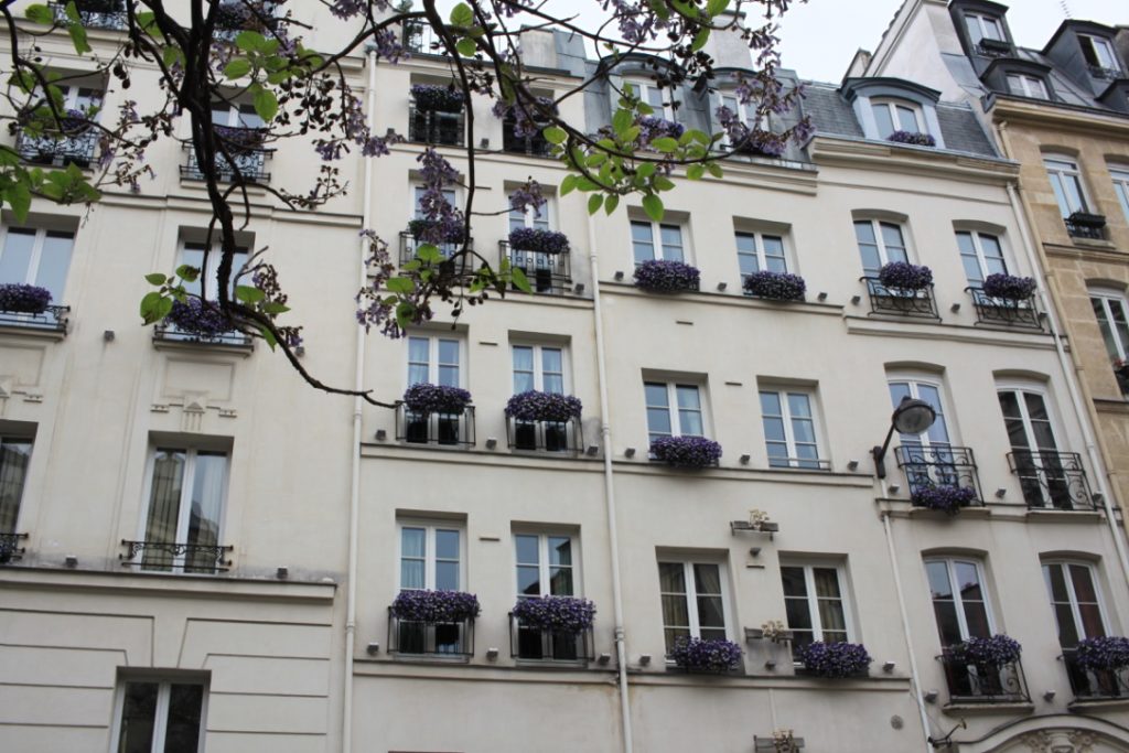 Paris Photo Diary