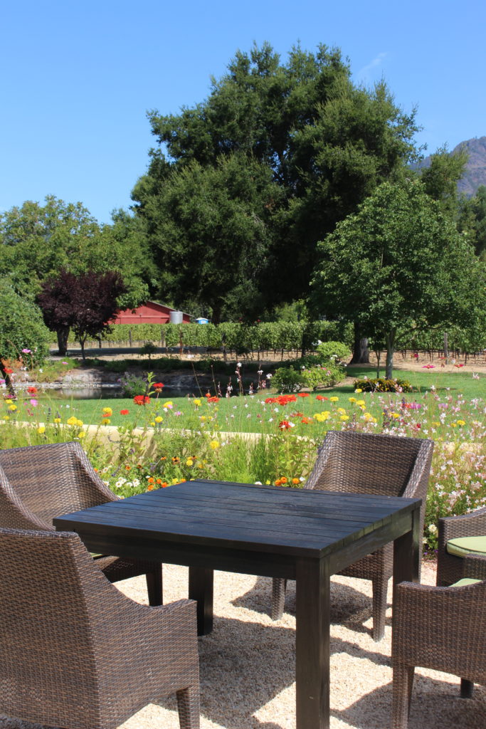 A visit to Landmark Vineyards I wit & whimsy
