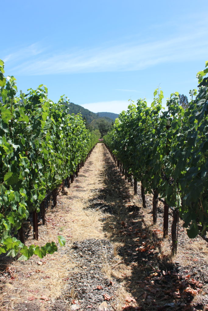 Landmark Vineyards, California I wit & whimsy