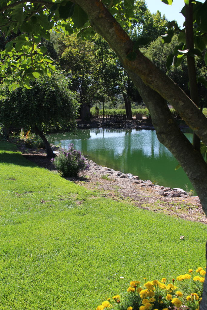 Landmark Vineyards, California I wit & whimsy