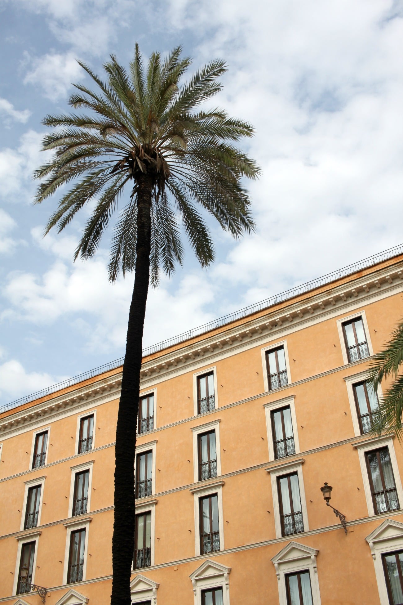 Roman buildings I wit & whimsy