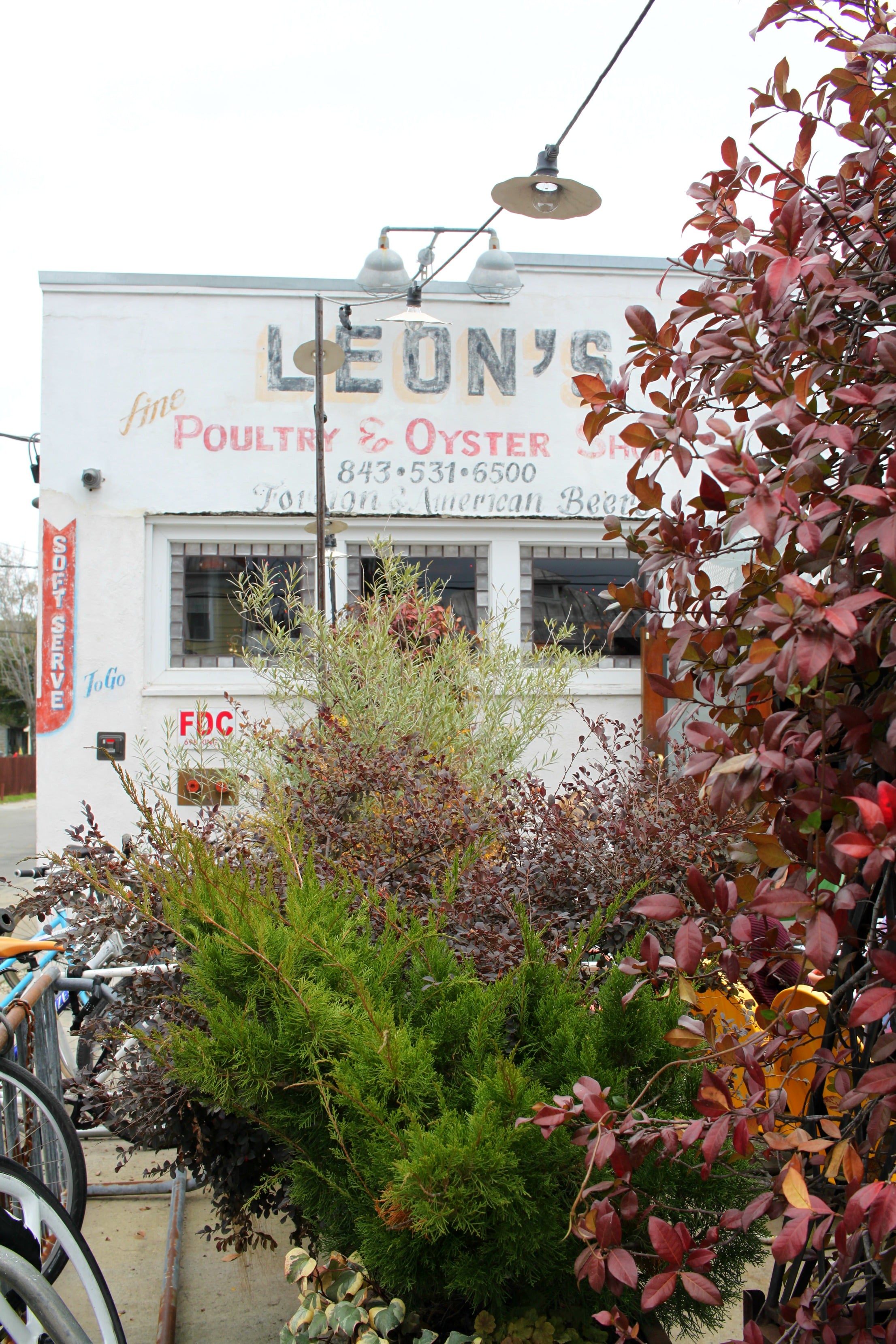 Best Eats in Charleston