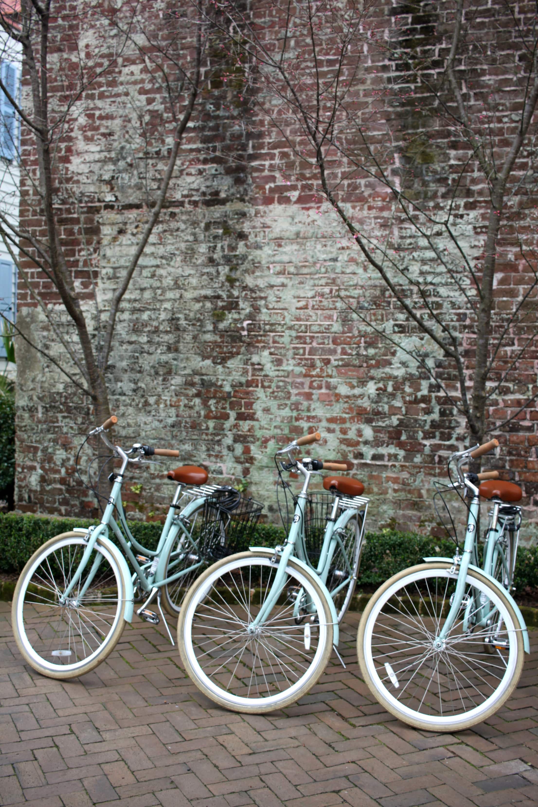 Best Spots to Visit in Charleston