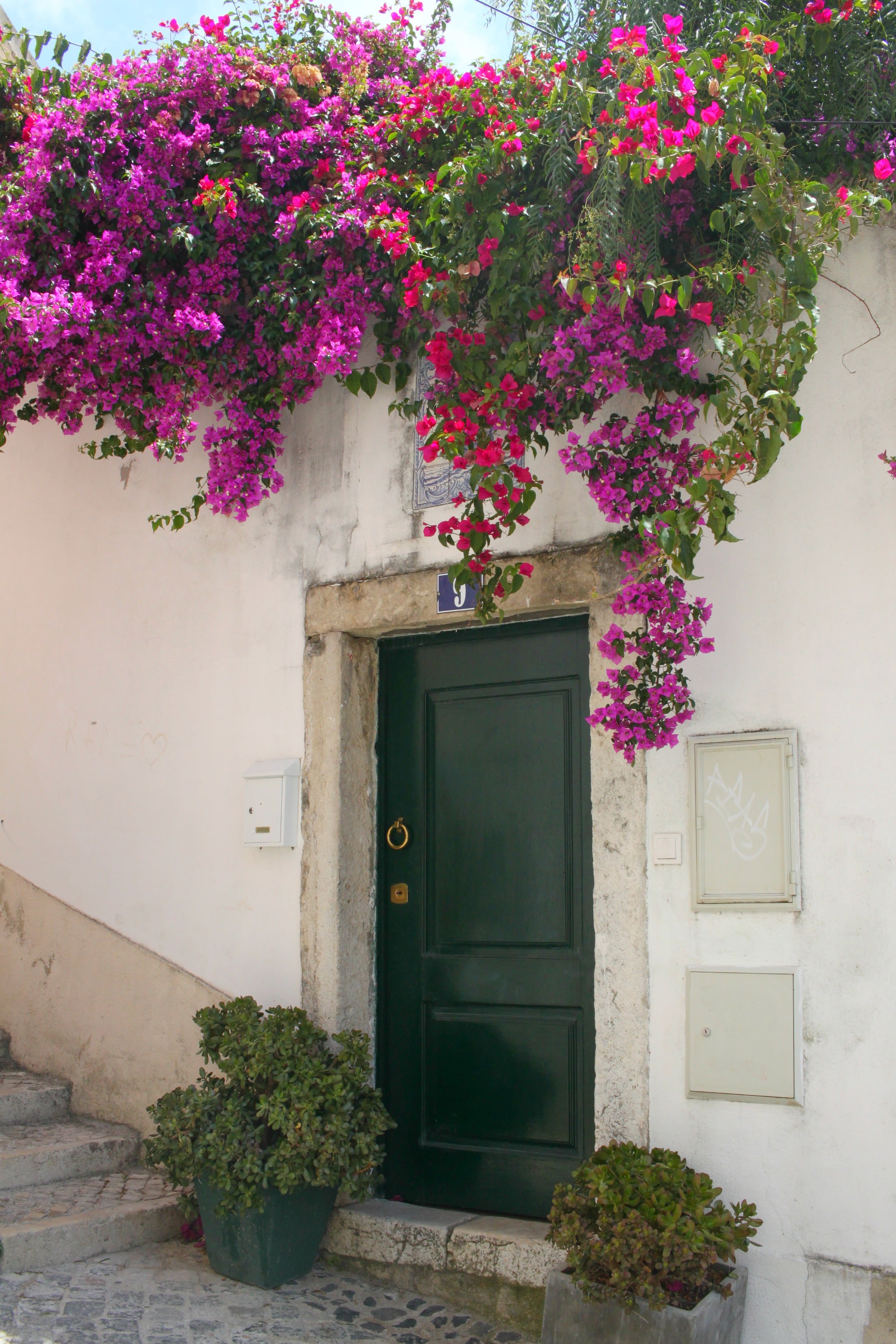 Best of Lisbon, Portugal I wit & whimsy