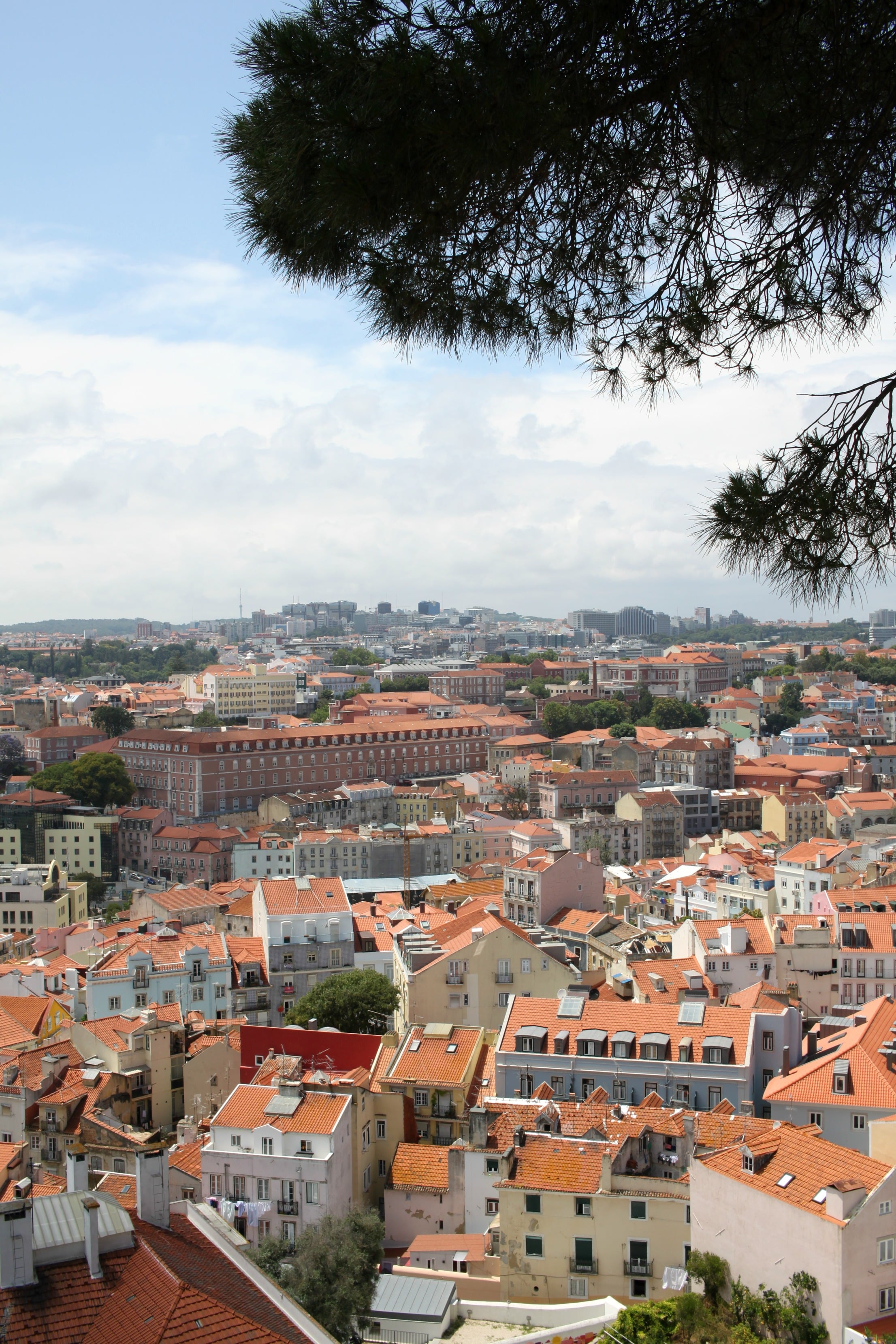 Best of Lisbon, Portugal I wit & whimsy