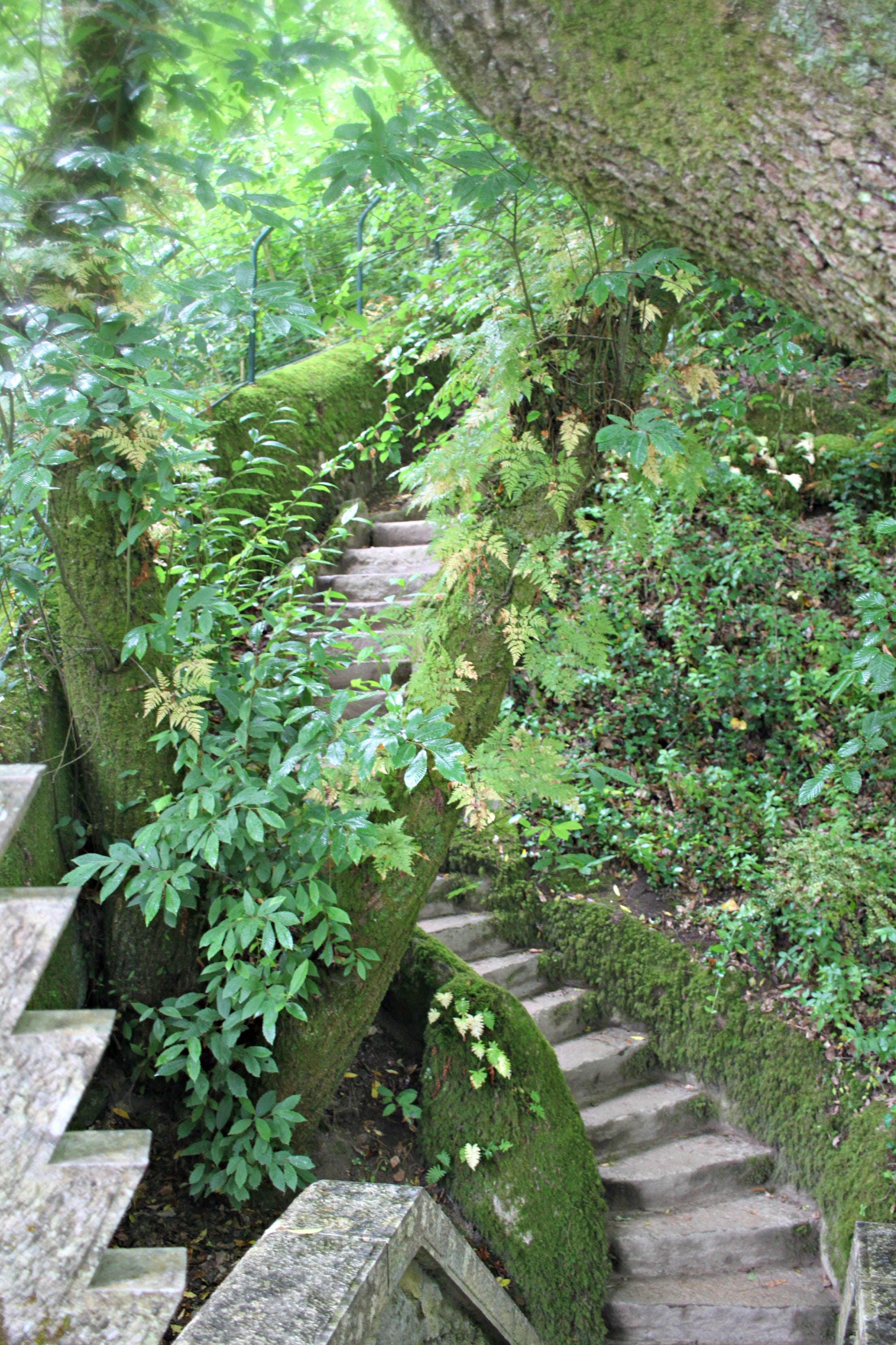 How to Spend a Day in Sintra, Portugal