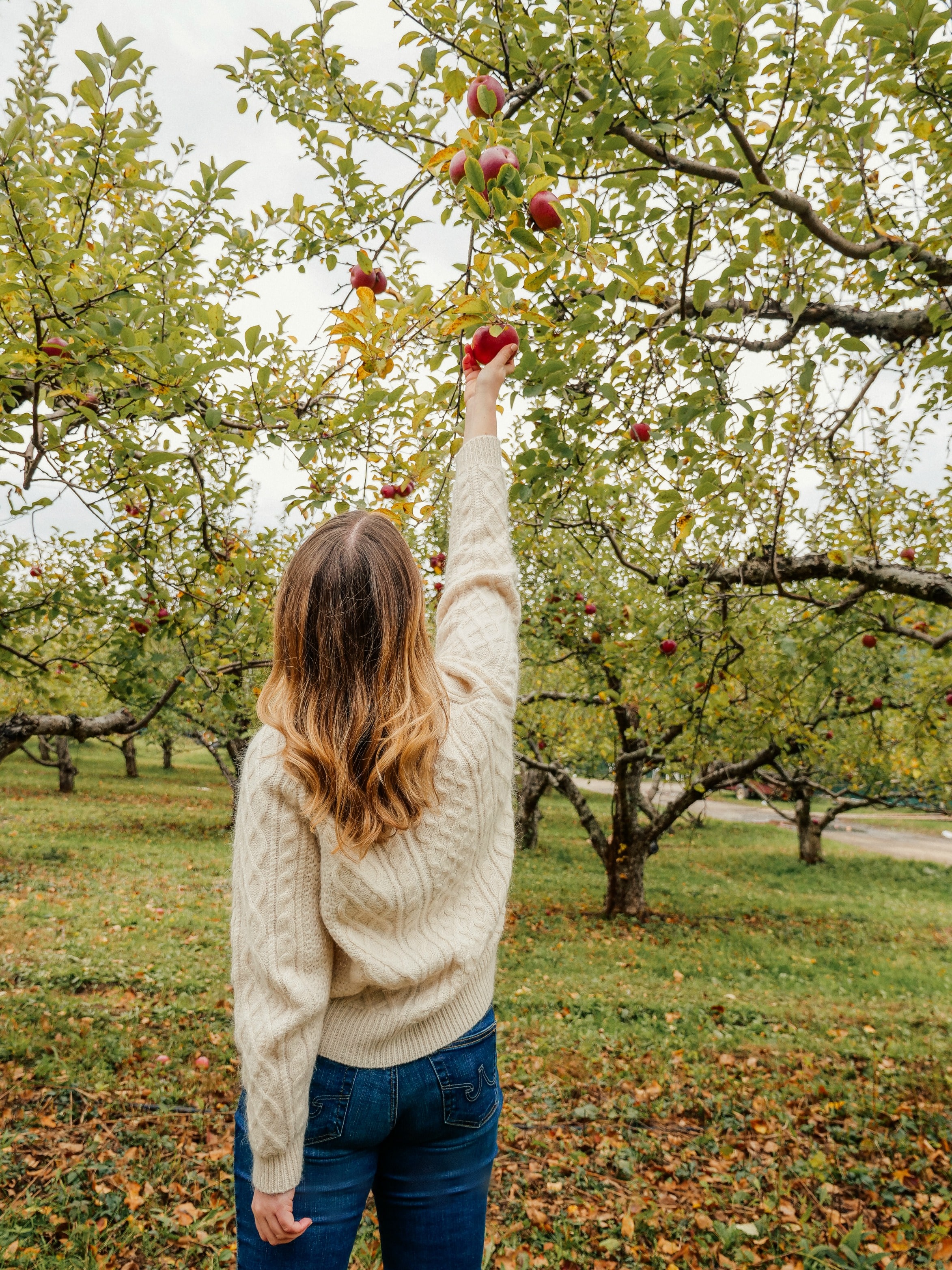 Catskills apple picking A Fall Weekend in The Catskills I wit & whimsy