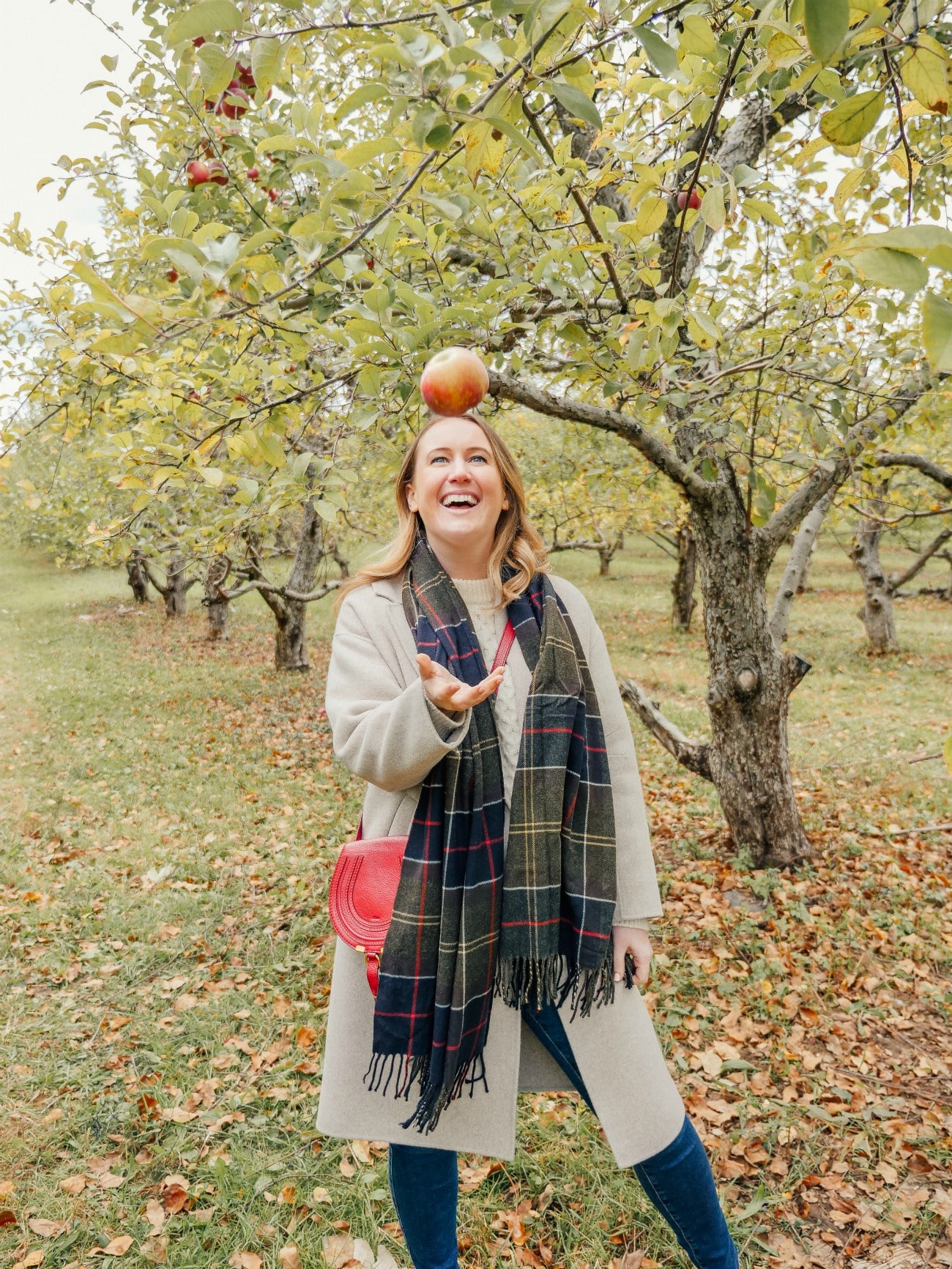 apple picking Meghan with apple from apple tree