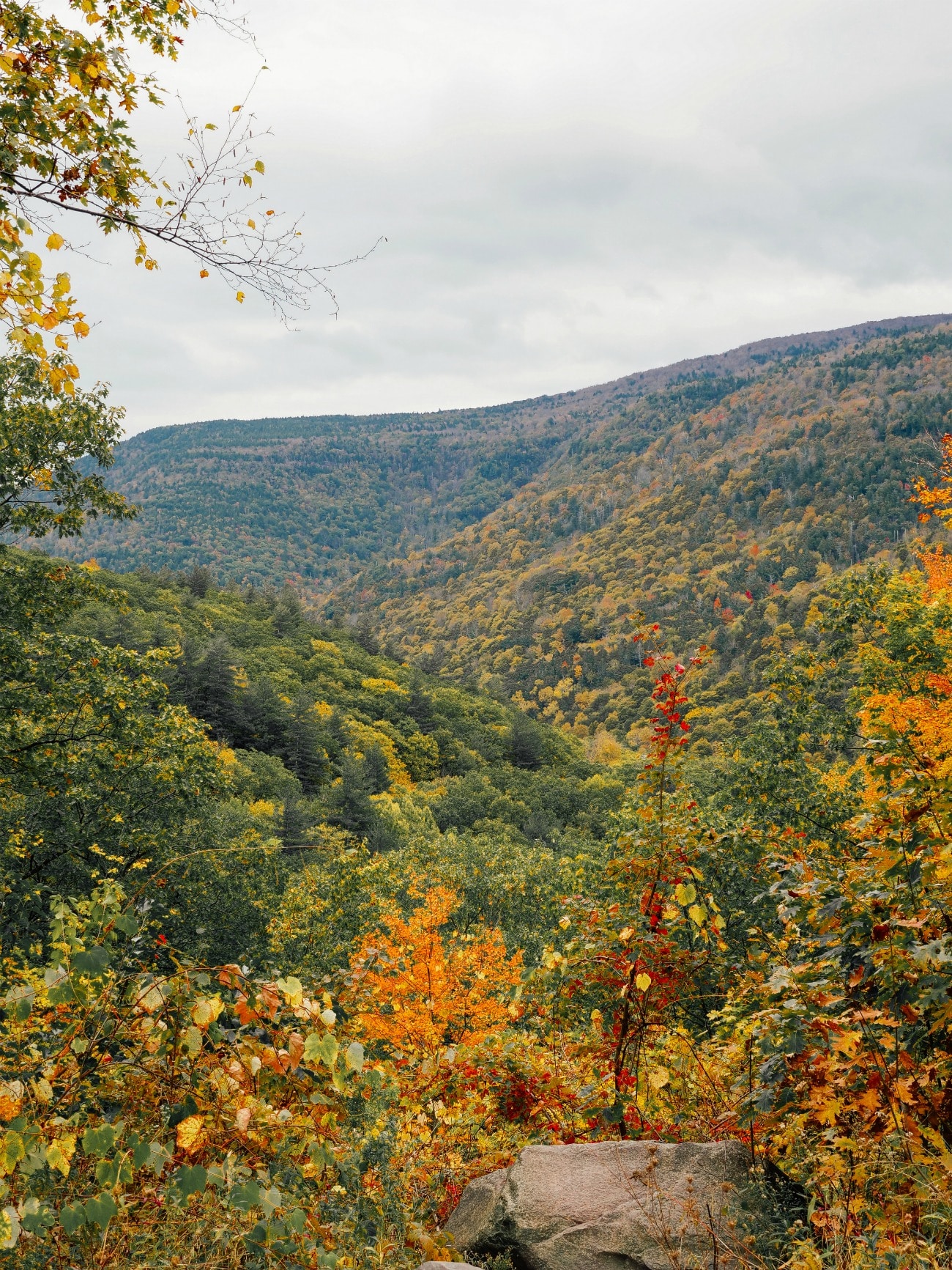 Catskills fall foliage A Fall Weekend in The Catskills I wit & whimsy
