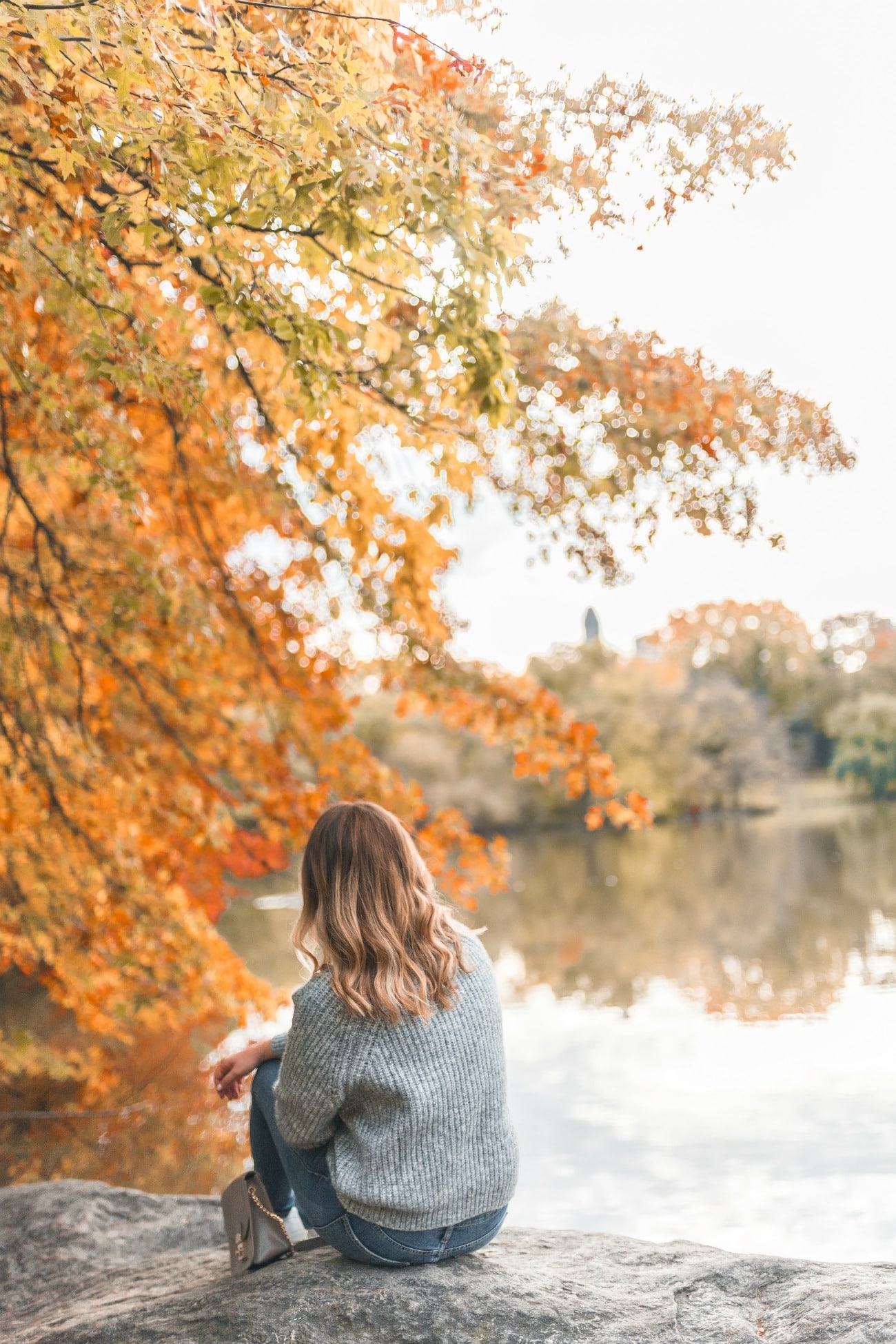 Fall in Central Park Fall in Central Park | Some Personal Posts