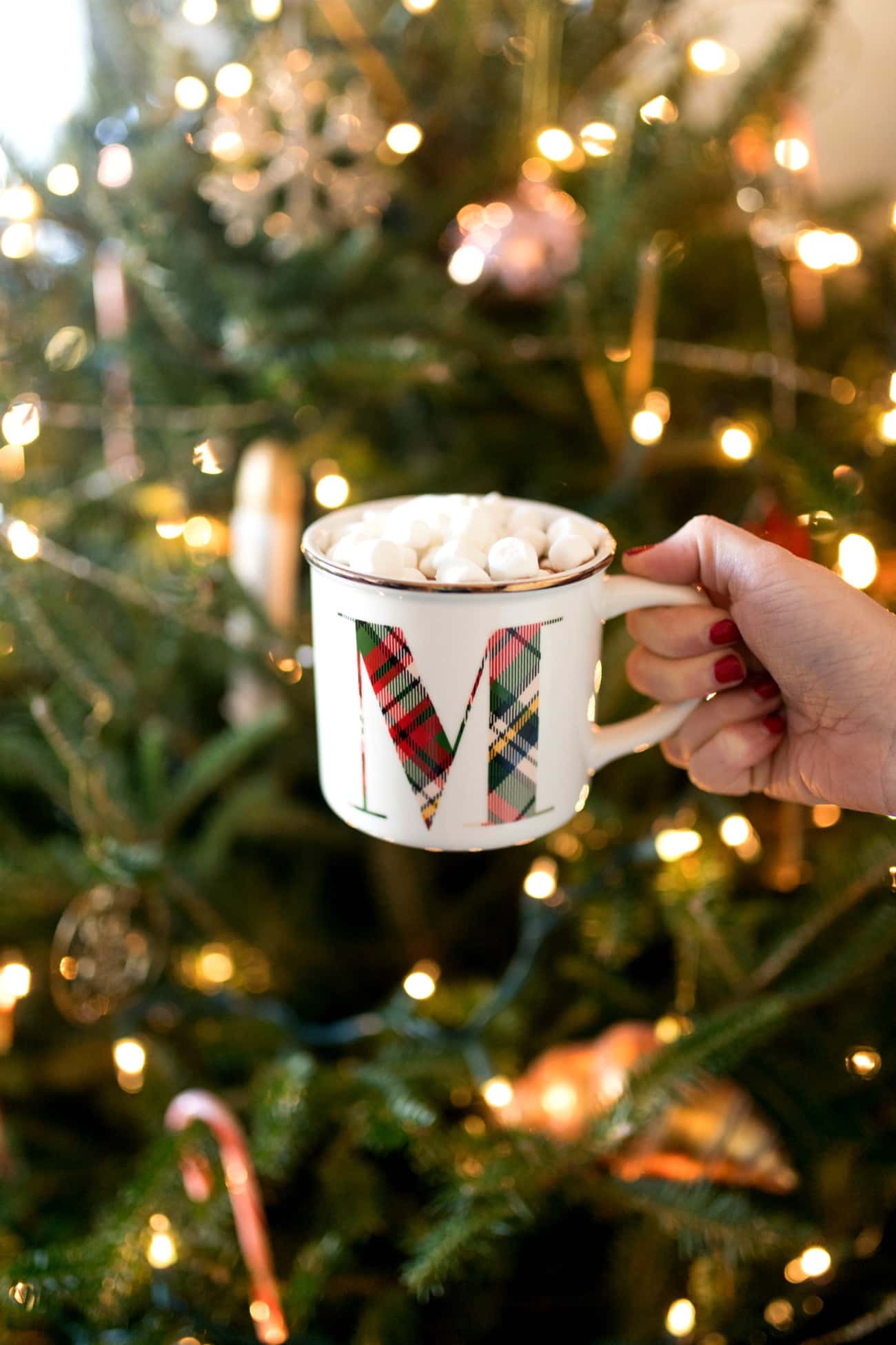 Holiday Mug