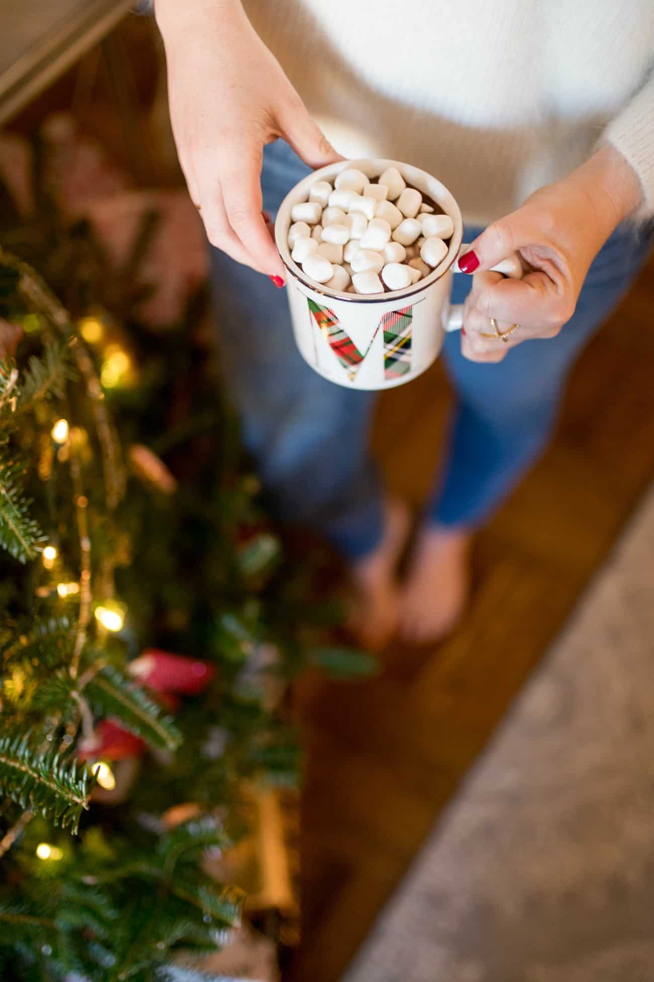 Holiday Hot Cocoa