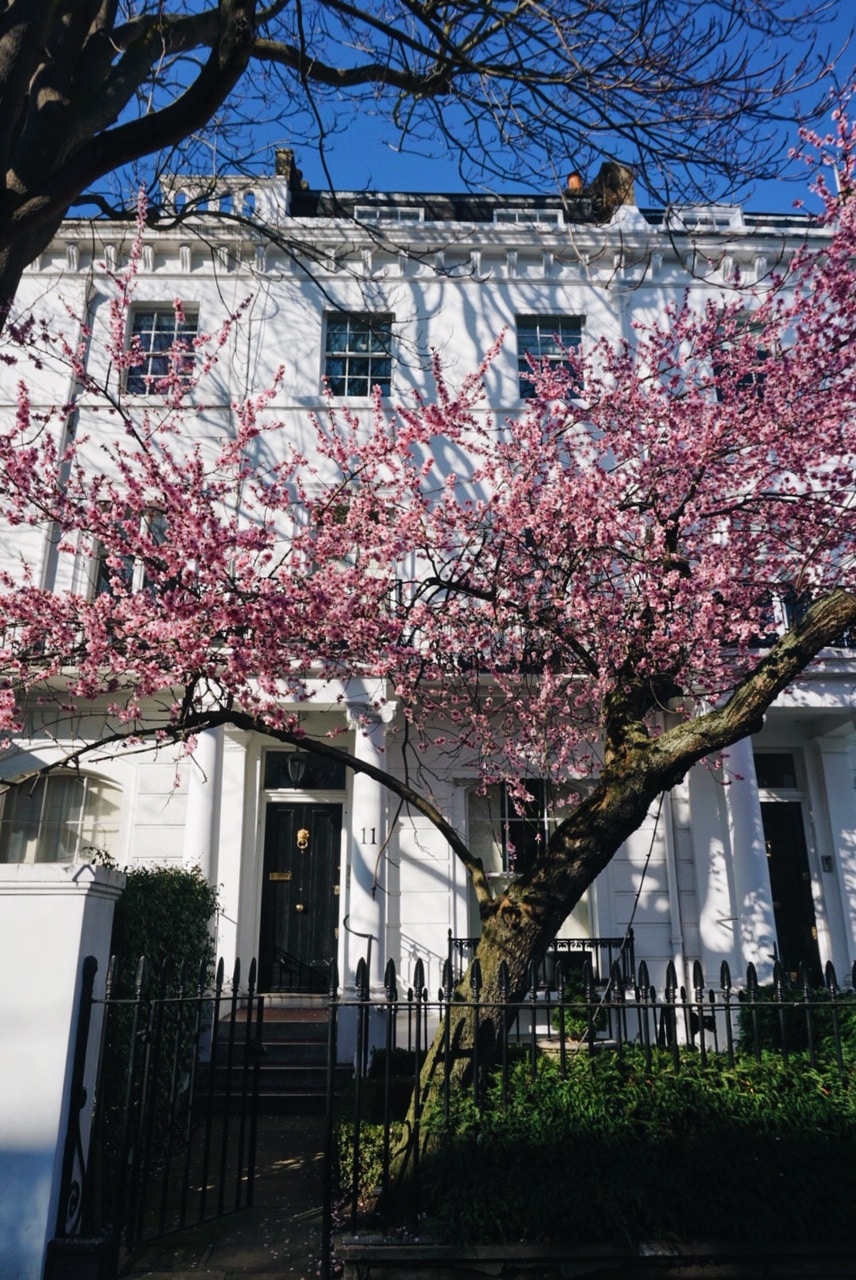 The Most Instagram-Worthy Spots in London I THURLOE STREET