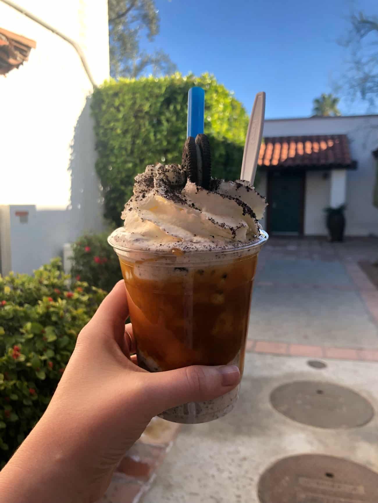 Palm Springs Great Shakes I wit & whimsy