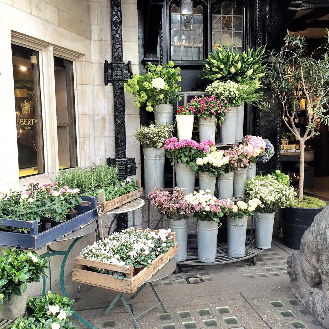 WILD AT HEART FLOWER SHOPS