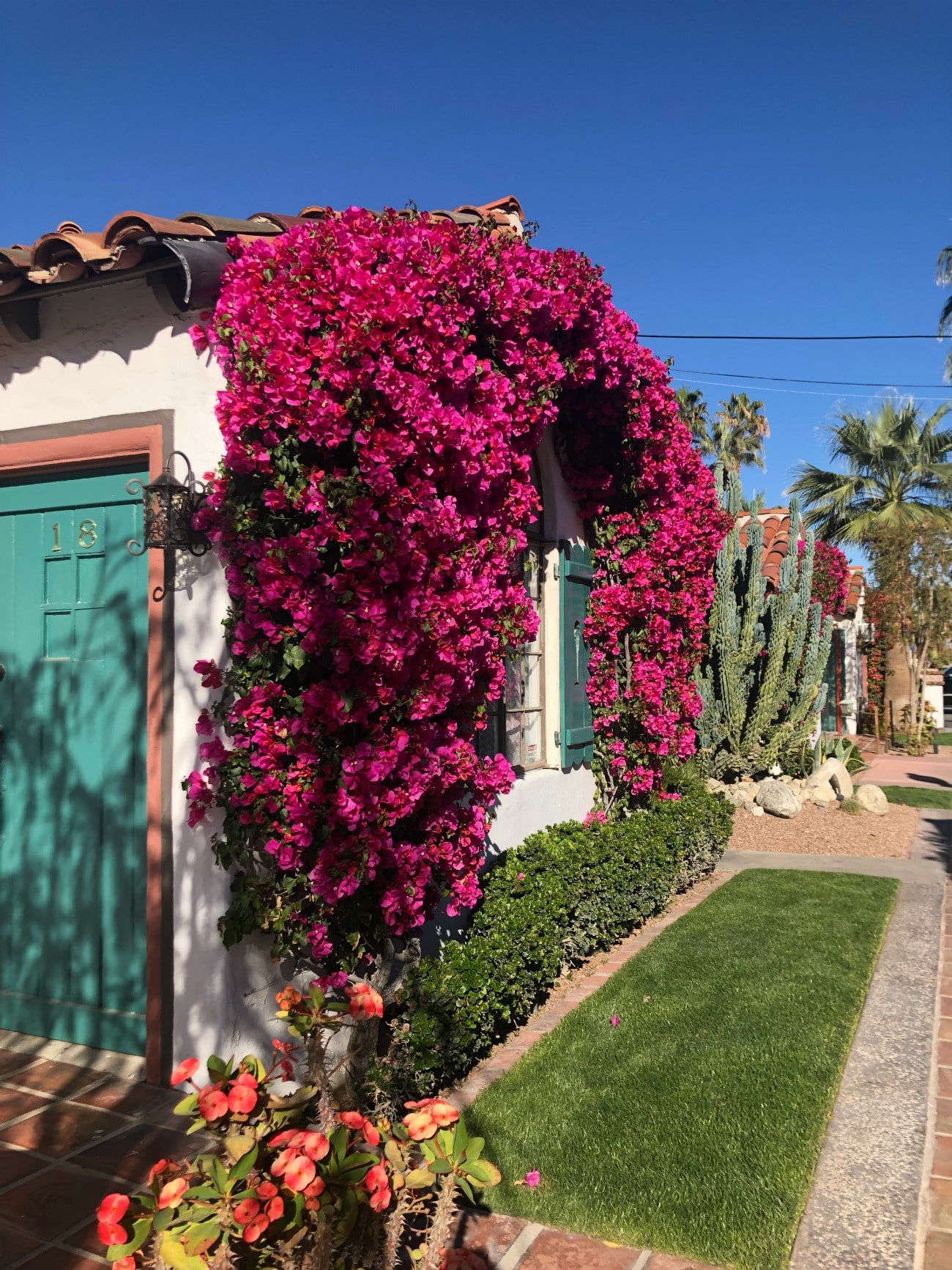 LA & Palm Springs Travel Diary I wit & whimsy