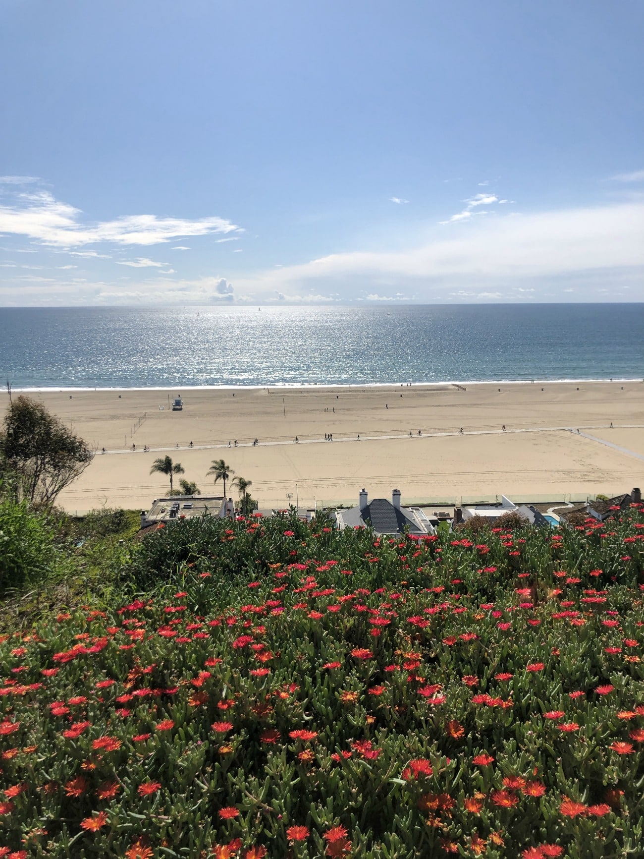 Los Angeles I LA & Palm Springs Travel Diary | wit & whimsy