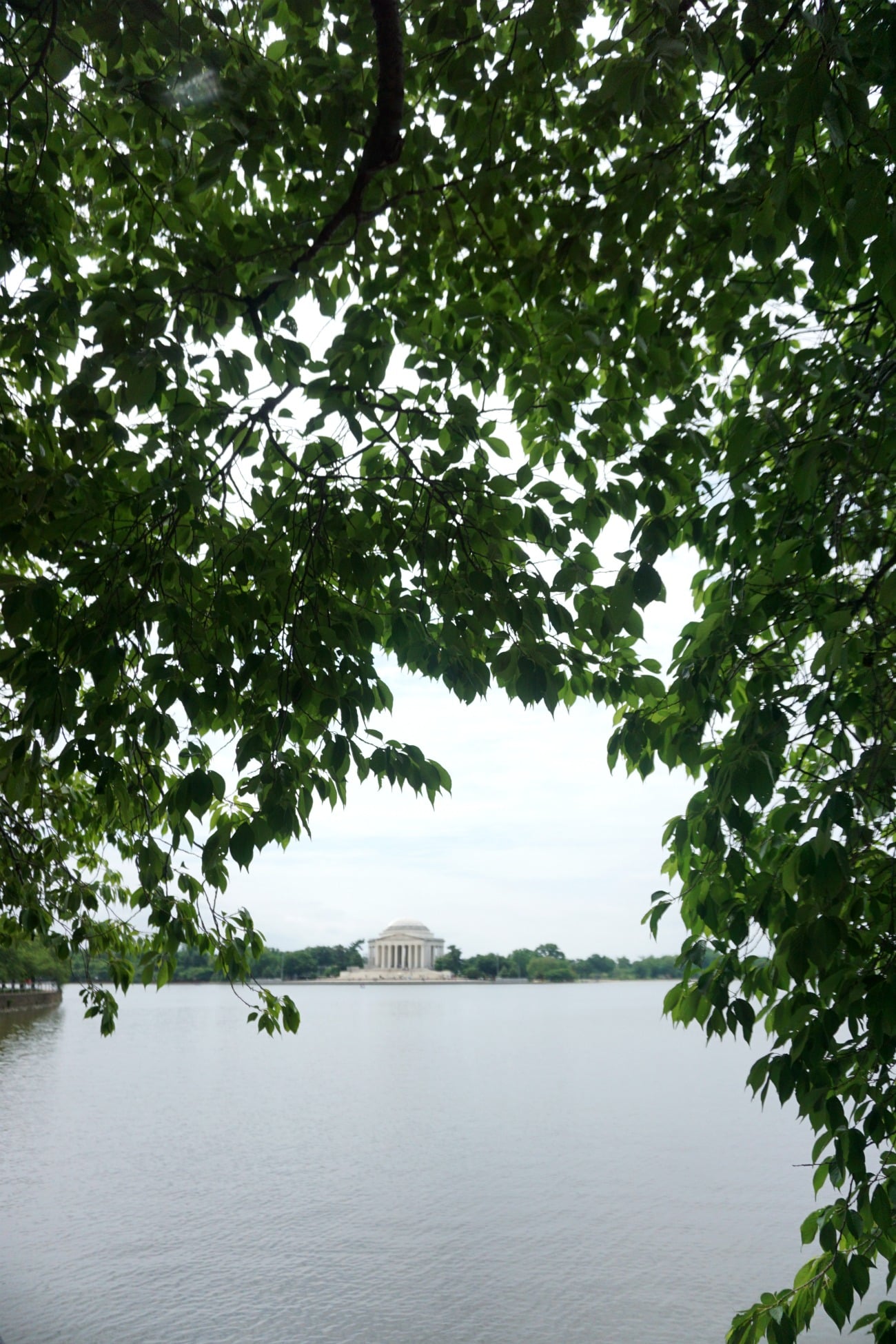 Washington DC Weekend Guide I wit & whimsy