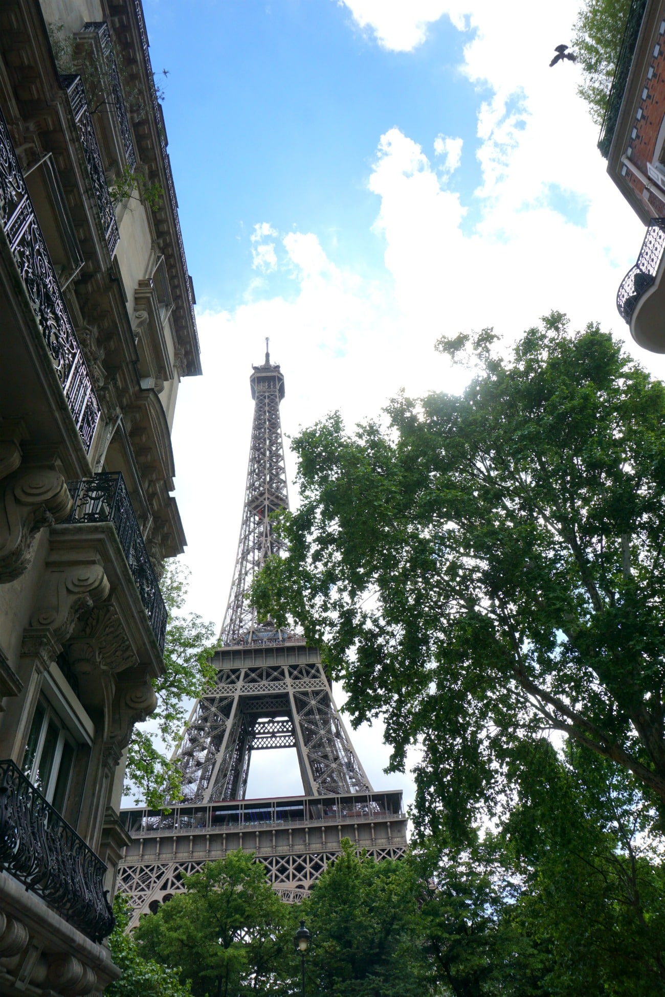 Paris I wit & whimsy