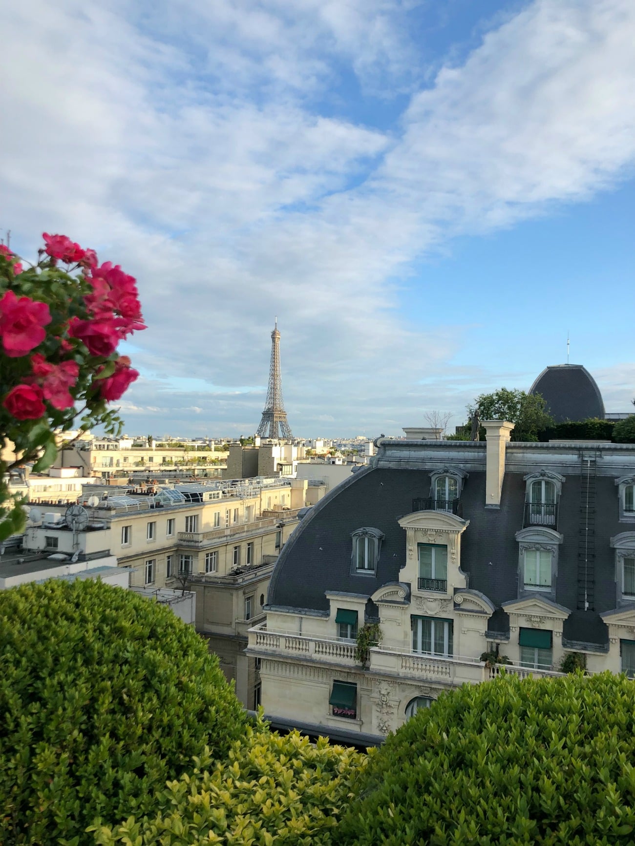 Paris I wit & whimsy
