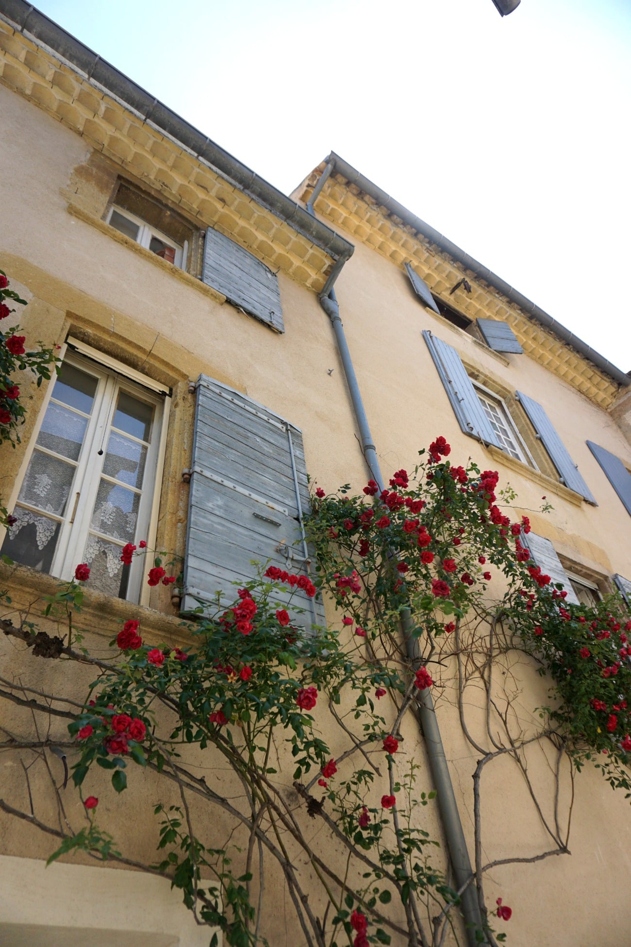 Lourmarin in Provence I wit & whimsy