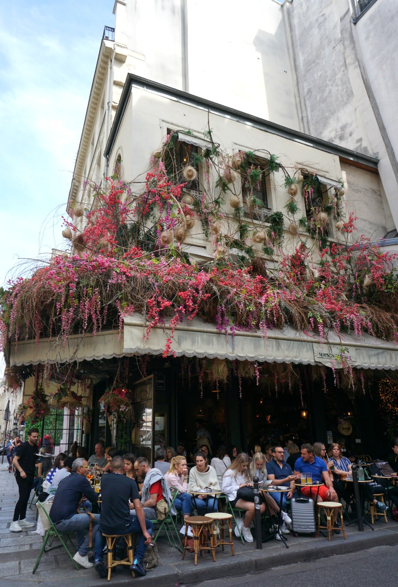 Paris I wit & whimsy