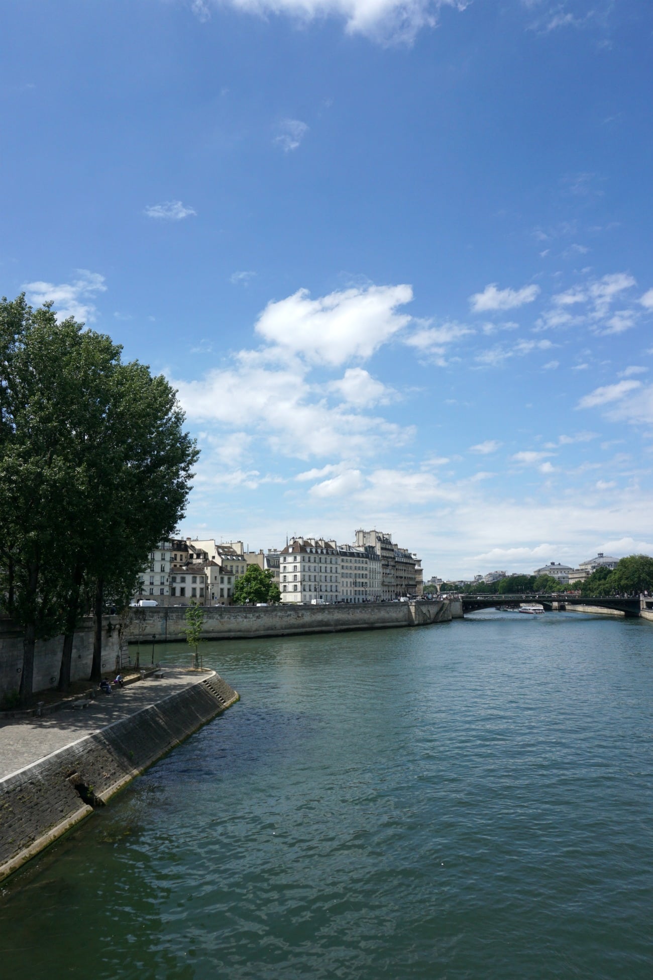Paris I wit & whimsy