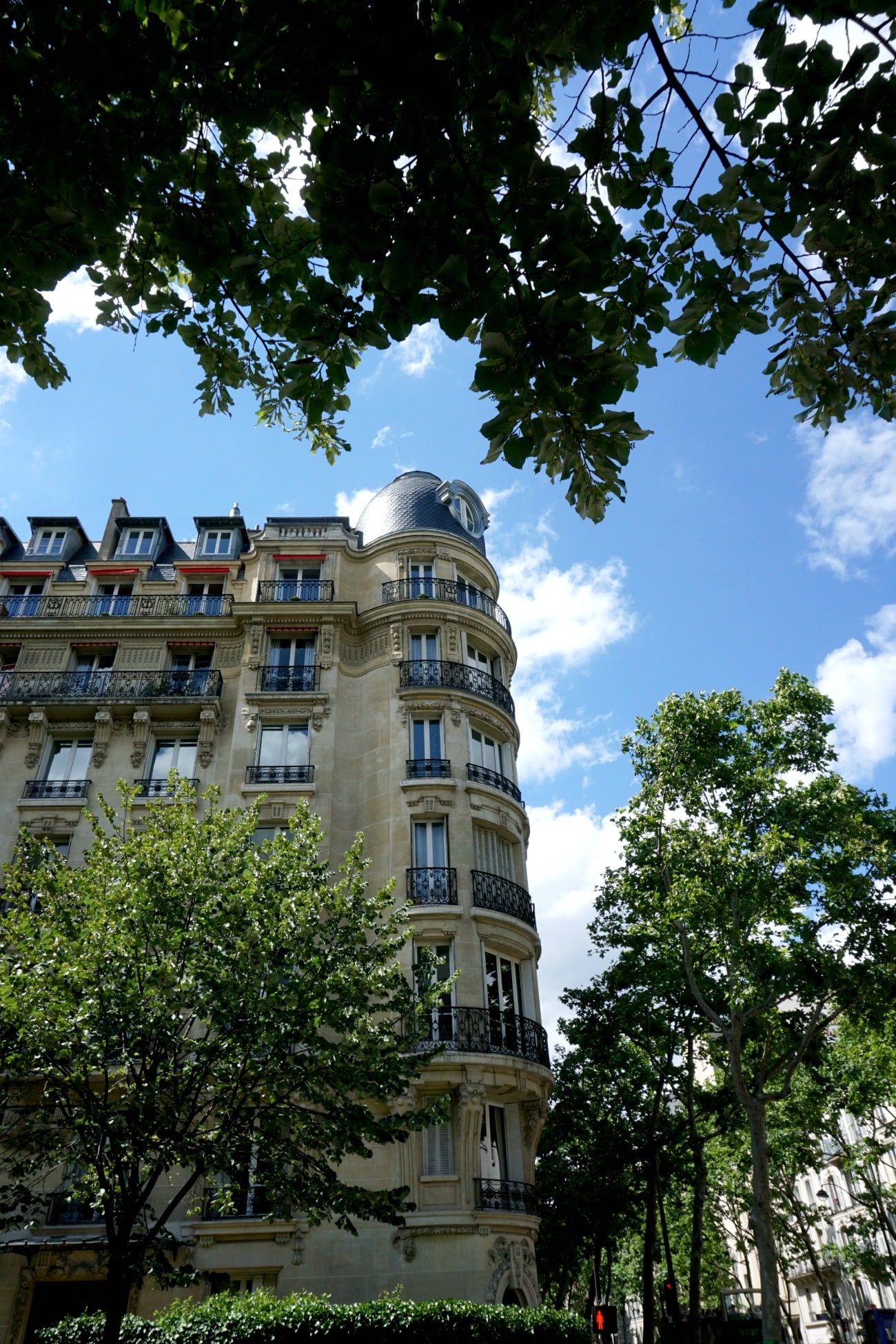 Paris I wit & whimsy