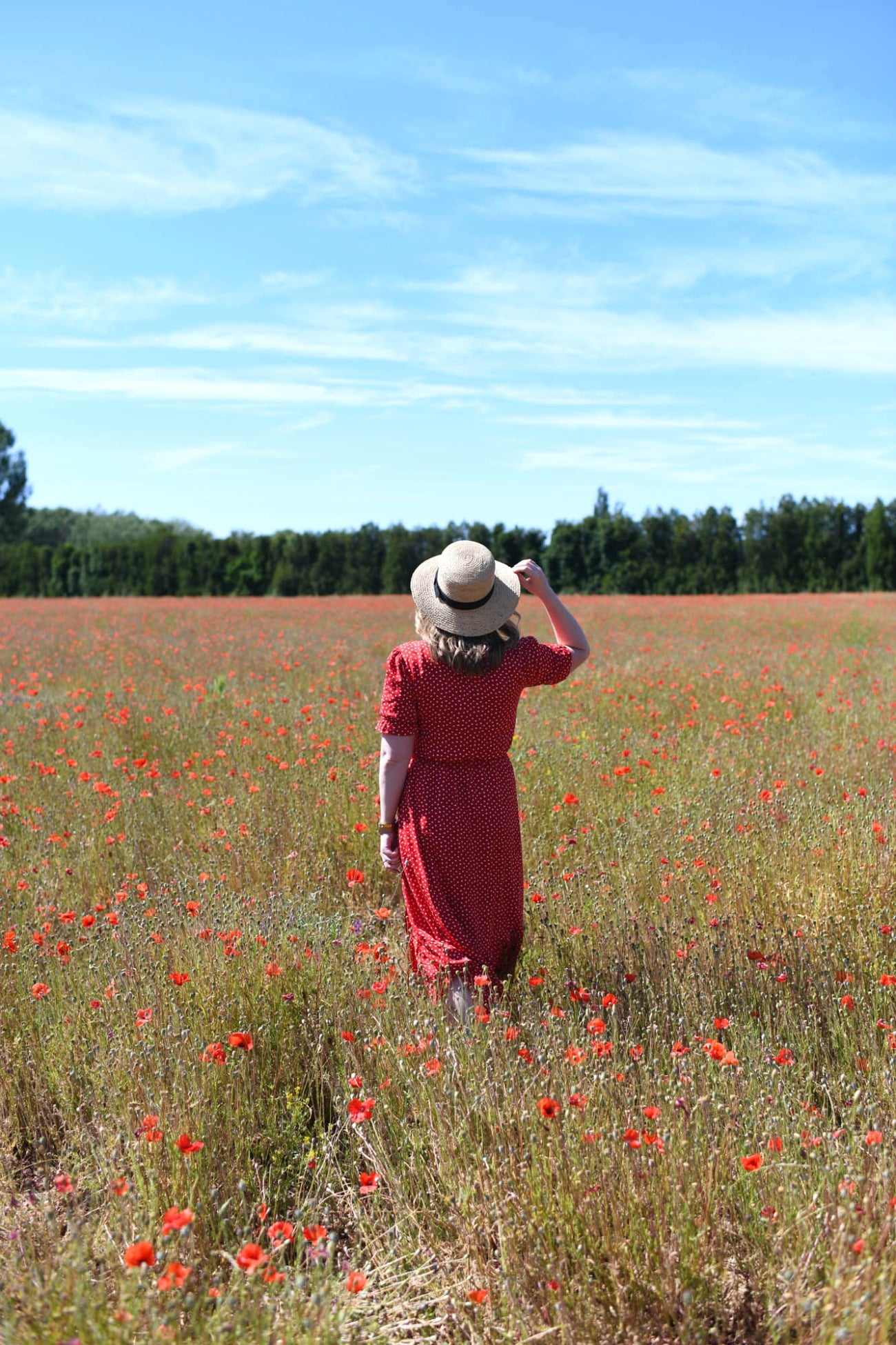 Where we stayed in Provence and the Poppy Fields
