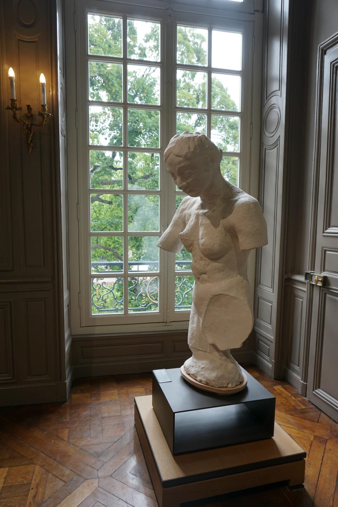 Paris I wit & whimsy